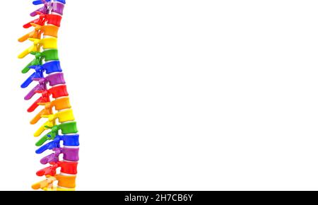 colonne vertébrale avec vertèbres colorées en arc-en-ciel.rendu 3d Banque D'Images