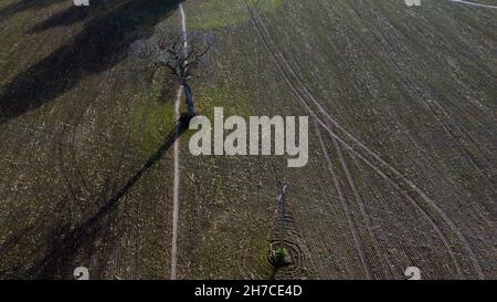 Vue aérienne d'une partie d'un champ sur Coldblow Farm, Riuipple, Kent Banque D'Images