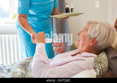 Le soignant donne la vieille femme comme pilules de patient à la maison dans le lit Banque D'Images