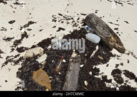 Flotsam avec déchets sur la plage, Antilles néerlandaises, Bonaire Banque D'Images