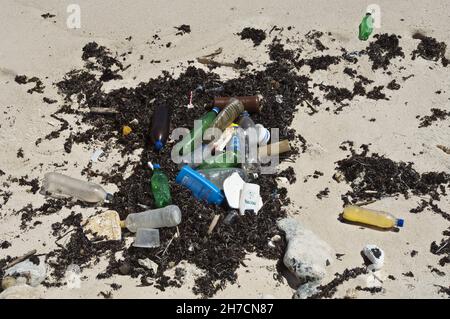 Flotsam avec déchets sur la plage, Antilles néerlandaises, Bonaire Banque D'Images