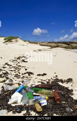 Flotsam wigt déchets sur la plage, Antilles néerlandaises, Bonaire Banque D'Images