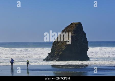 Un couple sur une plage le long de la côte nord de la Californie, États-Unis, Californie Banque D'Images