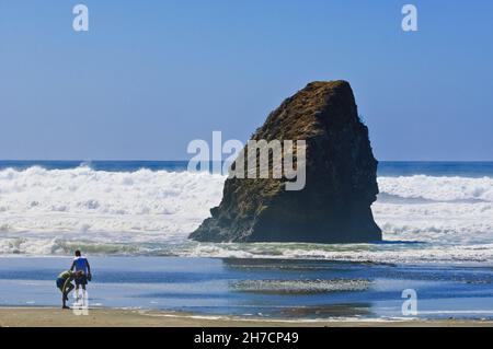 Un couple sur une plage le long de la côte nord de la Californie, États-Unis, Californie Banque D'Images