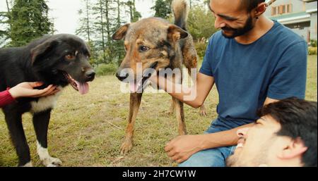 Amis indiens jouant avec des chiens dans un parc Banque D'Images