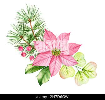 Composition de Noël aquarelle.Fleurs de poinsettia transparentes, feuilles d'eucalyptus, branches de pins.Illustration peinte à la main pour les vacances d'hiver Banque D'Images