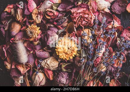 Différents pétales et fleurs roses, pourpres et jaunes secs sont dispersés.Arrière-plan floral artistique vintage.Style d'image mat. Banque D'Images