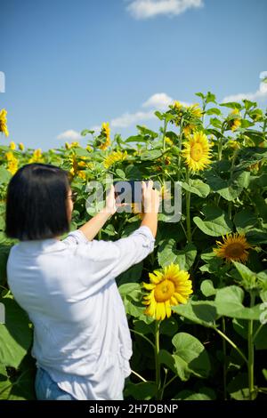 Femme paysanne, bussineswoman prendre photo sur le champ de tablette tournesol biologique Banque D'Images