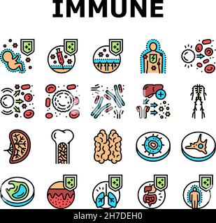 Système immunitaire maladie et traiter icônes définir le vecteur Illustration de Vecteur