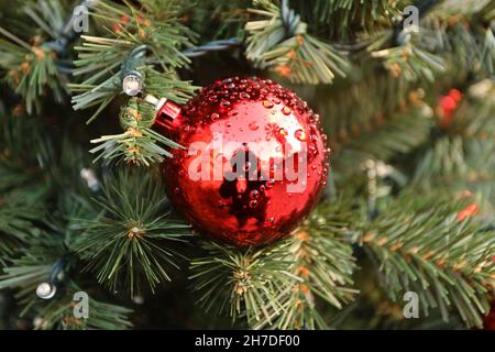 Quedlinburg, Allemagne.22 novembre 2021.Les décorations de Noël sont accrochées à un arbre sur la place du marché de Noël.Mercredi prochain, l'ouverture du marché de Noël dans le centre-ville est prévue dans la ville de l'Avent.Credit: Matthias Bein/dpa-Zentralbild/dpa/Alay Live News Banque D'Images