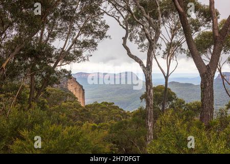 Vue panoramique sur les montagnes bleues en NSW, Australie. Banque D'Images