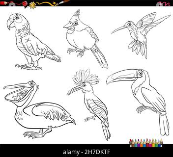 Dessin animé noir et blanc illustration des oiseaux animaux personnages ensemble coloriage livre page Illustration de Vecteur