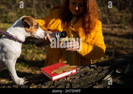 Une femme caucasienne verse du thé chaud à partir de thermos tout en marchant avec son chien le jour chaud de l'automne. Banque D'Images