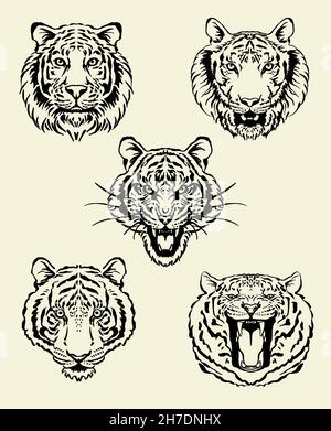 Jeu d'illustrations pour tigre de tête.Prélèvement d'animaux prédateurs.Ensemble Wildcats. Banque D'Images