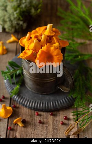 Chanterelles de champignons dans un bol rétro en fer et mousse de forêt sur un vieux fond en bois. Maquette. Vue de dessus. Banque D'Images