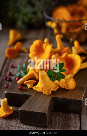 Chanterelles de champignons dans un bol rétro en fer et mousse de forêt sur un vieux fond en bois. Maquette. Vue de dessus. Banque D'Images