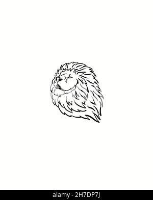 La face d'un Lion dans le profil. Banque D'Images