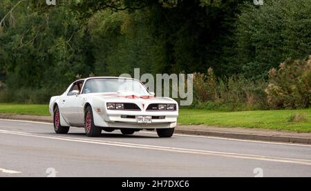 Voiture classique Trans Am 1979 de Pontiac Banque D'Images