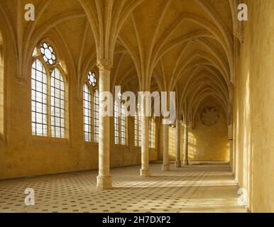 Réfectoire gothique de l'Abbaye de Saint-Jean-des-Vignes (Abbaye Saint-Jean-des-Vignes) à Soissons, France.Le réfectoire a été construit au XIIIe siècle mais l'abbaye n'a jamais été achevée et est aujourd'hui ruinée. Banque D'Images