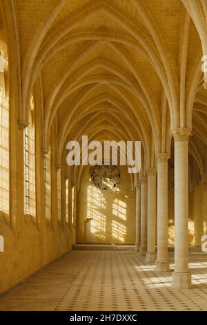 Réfectoire gothique de l'Abbaye de Saint-Jean-des-Vignes (Abbaye Saint-Jean-des-Vignes) à Soissons, France.Le réfectoire a été construit au XIIIe siècle mais l'abbaye n'a jamais été achevée et est aujourd'hui ruinée. Banque D'Images