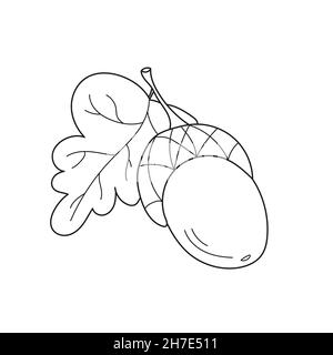 Page de coloriage simple.Acorn - page de coloriage, jeu pour enfants, enfants.Vecteur noir et blanc Illustration de Vecteur