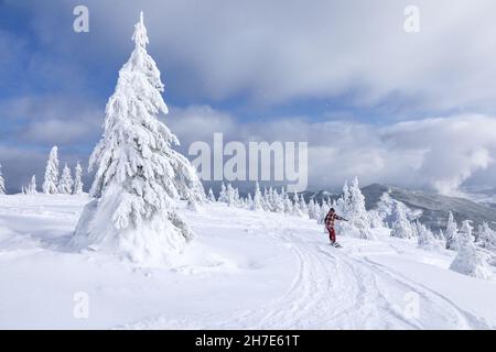 Les snowboardeurs et les skieurs traversent la forêt sauvage lors d'une belle journée froide d'hiver.Paysage de hautes montagnes avec neige.Fond d'écran.Emplacement Banque D'Images