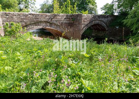 Le pont de grès rouge a commencé en 1753 au-dessus de la rivière Irthing à Ruleholme, Cumbria, Royaume-Uni Banque D'Images