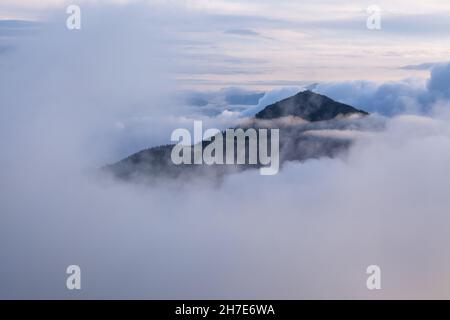 Le pic des montagnes couvrait le brouillard tôt le matin.Paysage d'été.Ciel et nuages magnifiques.Paysage naturel.Forêt des pins.Un endroit pour rela Banque D'Images