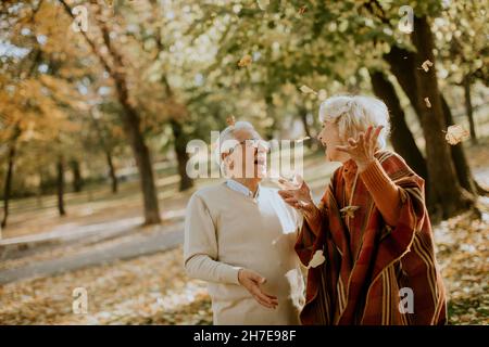 Beau couple senior s'amuser dans le parc d'automne Banque D'Images
