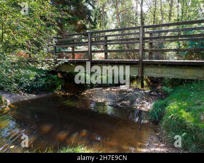 Passerelle sur un ruisseau le long d'un sentier à travers les bois, Bolderwood, The New Forest, Hampshire, Royaume-Uni Banque D'Images