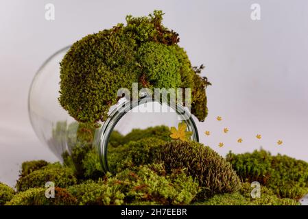 Scène de jardin dans le terrarium dans une bouteille de verre avec des feuilles sèches et de la mousse.Concept d'écosystème. Banque D'Images