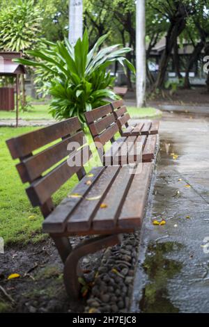 Plan vertical de bancs en bois dans un parc sur un fond flou Banque D'Images