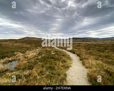 The Minister's Path, Angus Glens, Écosse. Banque D'Images