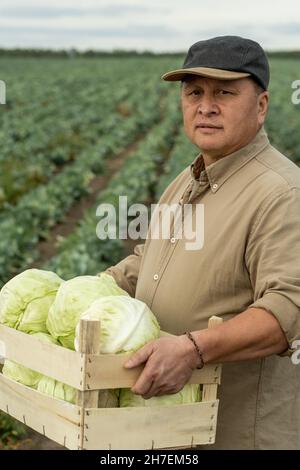 Portrait d'un travailleur asiatique sérieux et mature de plantation de chou debout avec une boîte en bois pleine dans le champ Banque D'Images