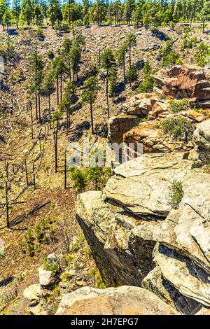 Plan vertical du bord de la Mogollon Rim en Arizona à la forêt en dessous Banque D'Images