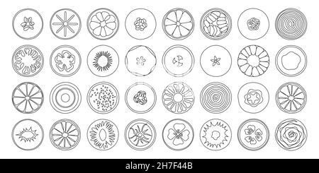 Collection d'œuvres d'art fruit Line.Plusieurs fruits manuscrits dessinant. Illustration de Vecteur