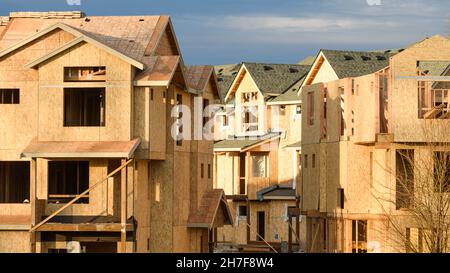 Duvall, WA, États-Unis - 21 novembre 2021; Construction de maisons en bois en cours à Duvall, Washington, avec certains toitures installées Banque D'Images