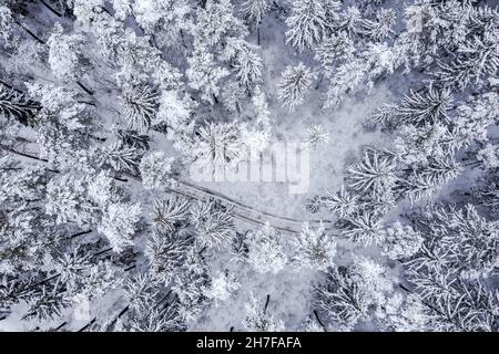 vue aérienne en haut du paysage forestier d'hiver avec route parmi les sapins enneigés Banque D'Images