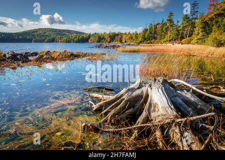 Vue panoramique sur Eagle Lake dans le parc national Acadia à l'automne Banque D'Images