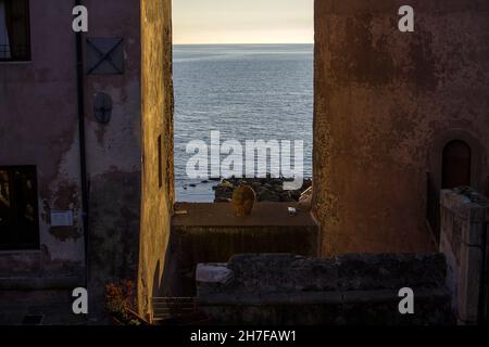 Italie.20 novembre 2021.Coucher de soleil à Santa Severa.En arrière-plan le château médiéval-Renaissance de Santa Severa (XIV siècle), l'un des endroits les plus suggestifs du Latium, situé dans le hameau de Santa Severa de la municipalité de Santa Marinella.(Photo de Patrizia Corteltessa/Pacific Press) Credit: Pacific Press Media production Corp./Alay Live News Banque D'Images