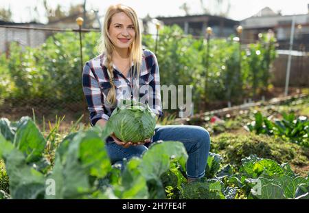Jeune femme jardinière cueillant du chou frais dans un jardin ensoleillé Banque D'Images