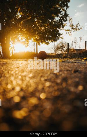 Photo verticale d'un ballon de basket sur la chaussée au coucher du soleil Banque D'Images