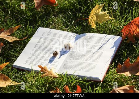 Ouvert livre et acorns sur herbe avec feuilles d'automne Banque D'Images