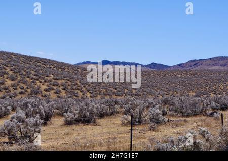 Flinders Ranges Desert Scene Australie méridionale Banque D'Images