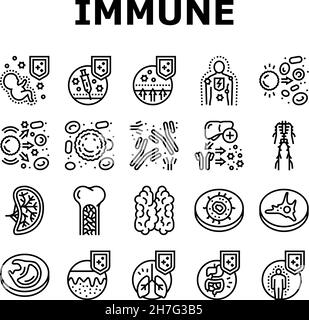 Système immunitaire maladie et traiter icônes définir le vecteur Illustration de Vecteur