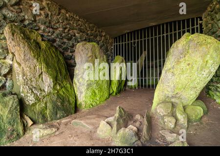 Barclodiad y Gawres est une chambre de sépulture néolithique située entre Rhosneigr et AberffRAW, sur la côte sud-ouest de l'île d'Anglesey, dans le nord du pays de Galles Banque D'Images