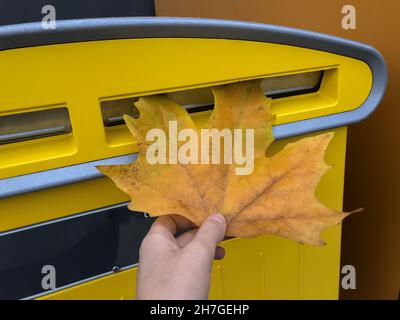 La main de womans place la feuille d'érable jaune dans la boîte aux lettres Banque D'Images