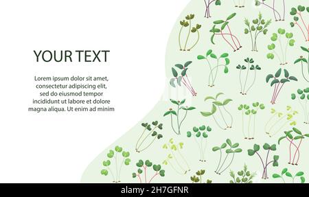 Illustration vectorielle de microverts avec un emplacement pour le texte.Jeunes plantules en bonne santé.Une alimentation saine et écologique. Illustration de Vecteur