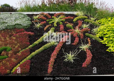 Conception de plantes à l'entrée de Candiac, province de Québec, Canada Banque D'Images