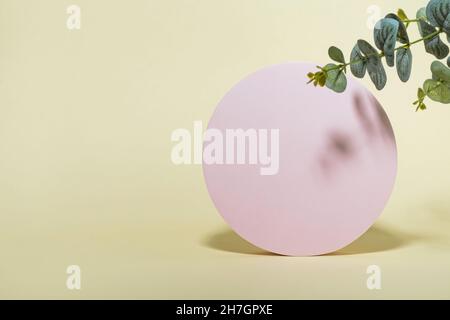 Poncer un fond lumineux et une forme de cercle pour la présentation du produit et la branche d'eucalyptus.Concept minimal. Banque D'Images